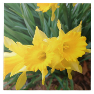 Azulejo Springtime Flowers