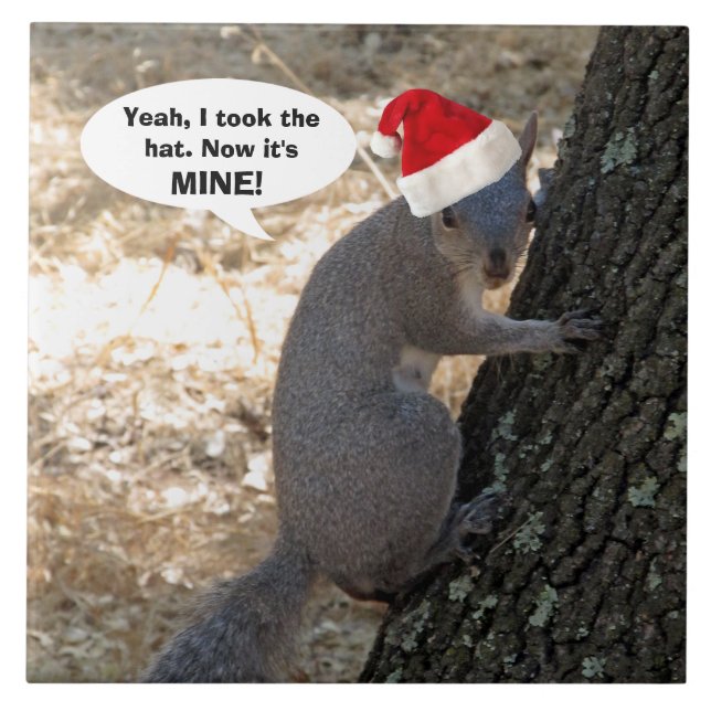 Azulejo Squirrel Acero Santa Hat Cerámica Tile (Frente)