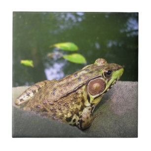 Azulejo Sr. Jeremy Fisher