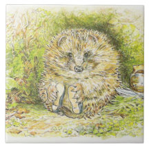 Sr. Pricky Pin (Hedgehog) (de Beatrix Potter)