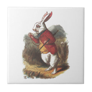 Azulejo ¡Sr. Rabbit!