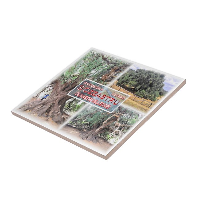 Azulejo SRD006 LURAS, Oleícola Millennial, (Lado)