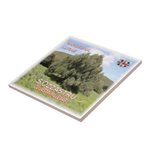 Azulejo SRD007 LURAS Oleícola Milenario,