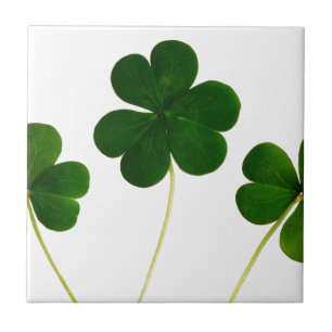Azulejo st patricys day clover shamrock