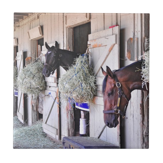 Azulejo Stanwyck por el fabricante del imperio (Frente)