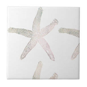 Azulejo Starfish Coastal Beach Grey White Trendy Guay