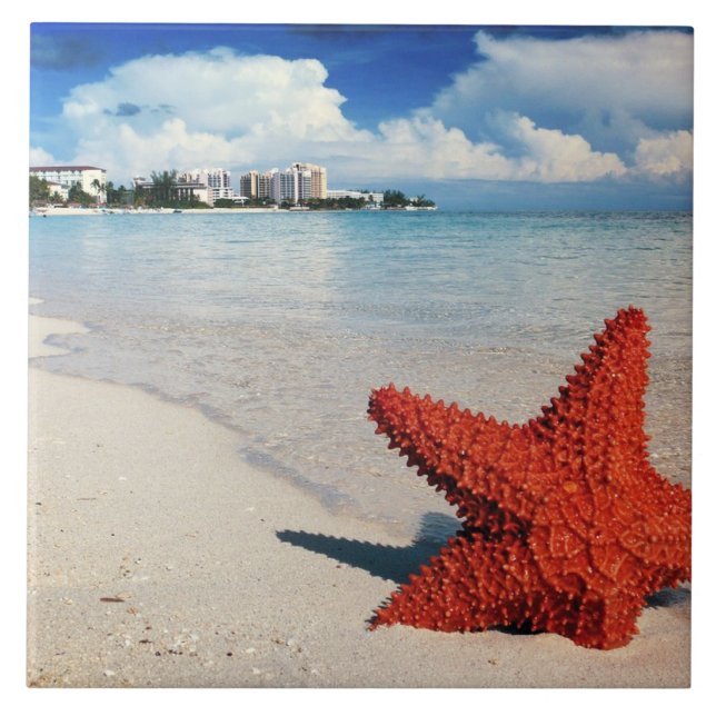 Azulejo Starfish, Nassau, Bahamas (Frente)