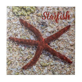 Azulejo Starfish Ocean Vintage Beach Retro Souvenir