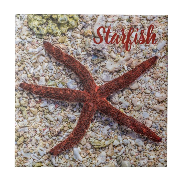 Azulejo Starfish Ocean Vintage Beach Retro Souvenir (Frente)