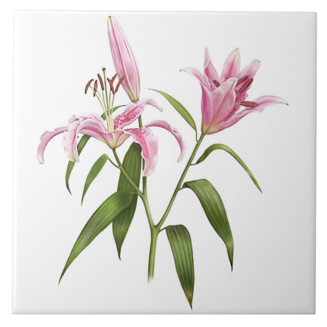 Azulejo Stargazer asiático rosado Lily Arte Botánico (Frente)
