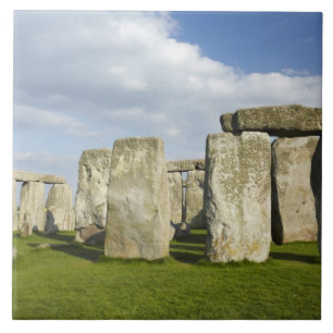 Azulejo Stonehenge (alrededor del 2500 a.C.), Patrimonio M