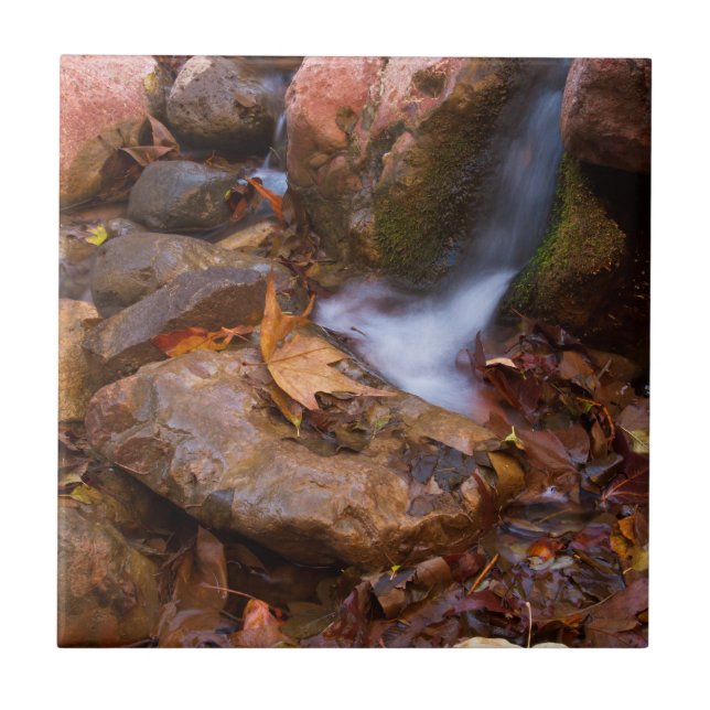 Azulejo Stream en Payson, Arizona (Frente)