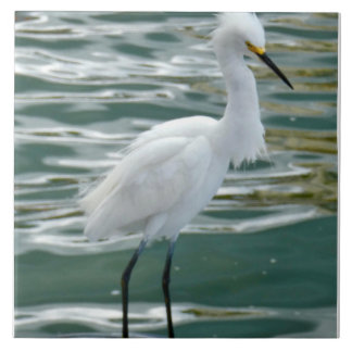 Azulejo Stunning Egret Bird