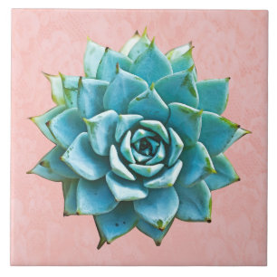 Azulejo Suculenta acuarela en Rubor Rosa Lace