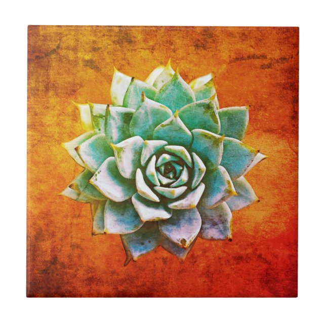 Azulejo Suculenta acuarela sobre roya Naranja (Frente)