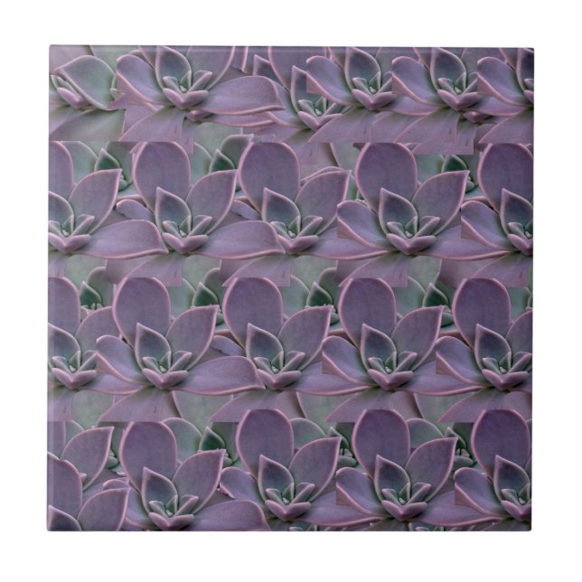 Azulejo Suculenta Morada (Frente)