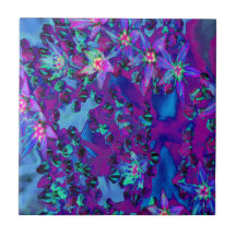 Suculentas flores de sedición en Verde azulado, ma