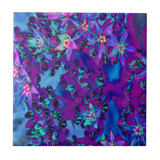 Azulejo Suculentas flores de sedición en Verde azulado, ma (Frente)