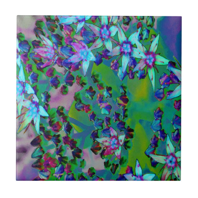 Azulejo Suculentas flores de sedum en Aqua, púrpura y azul (Frente)