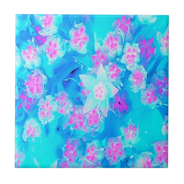 Azulejo Suculento sedum subacuático azul y rosa caliente (Frente)