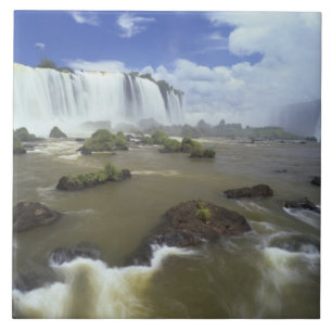 Azulejo Sudamérica, Brasil, Cataratas Igwacu. Hacia arrib