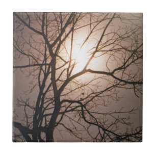 Azulejo Sueño de luna