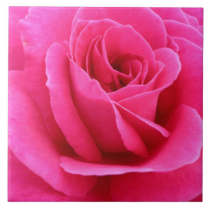 Azulejo Sultry Candy Red Rose