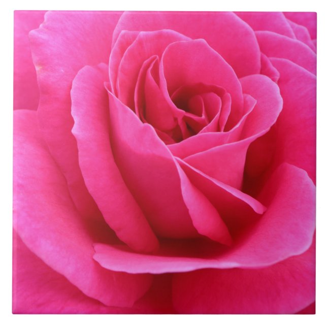 Azulejo Sultry Candy Red Rose (Frente)