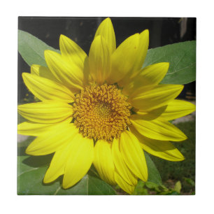 Azulejo Sunflower