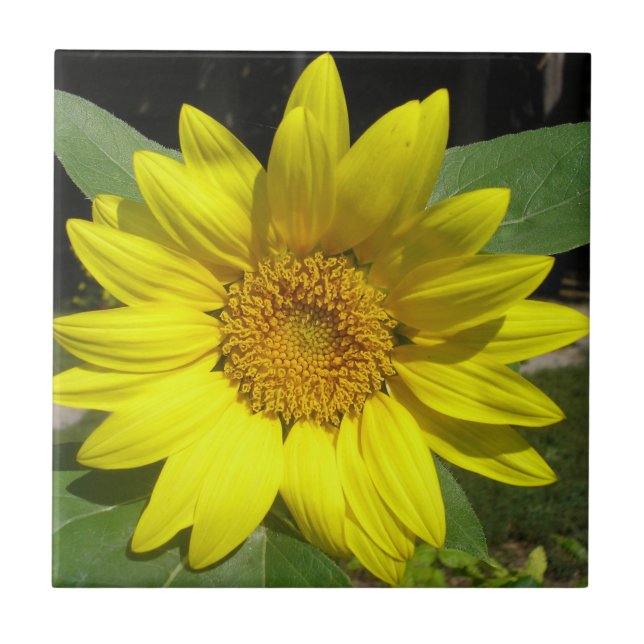Azulejo Sunflower (Frente)
