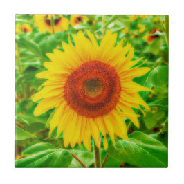 Azulejo Sunflower Country Amarillo Verde Verano Floral