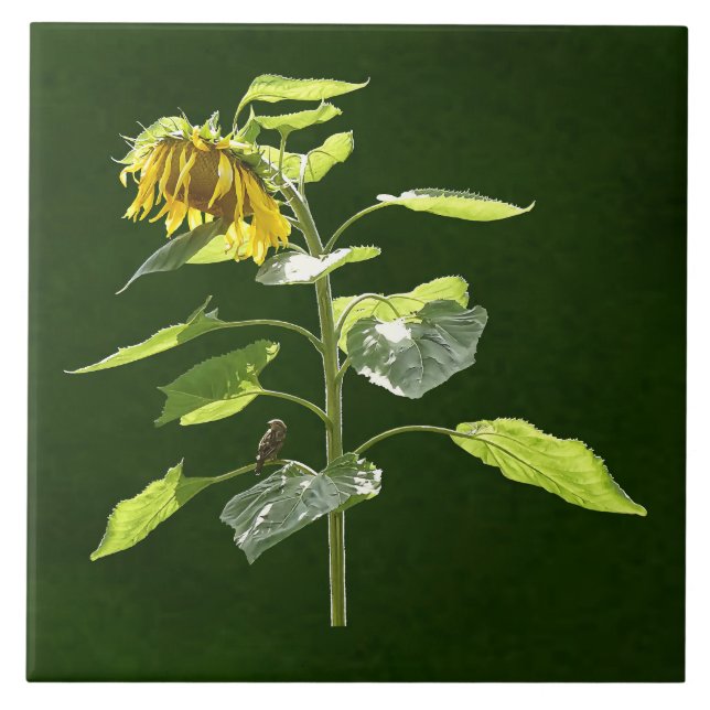 Azulejo Sunflower y Sparrow (Frente)