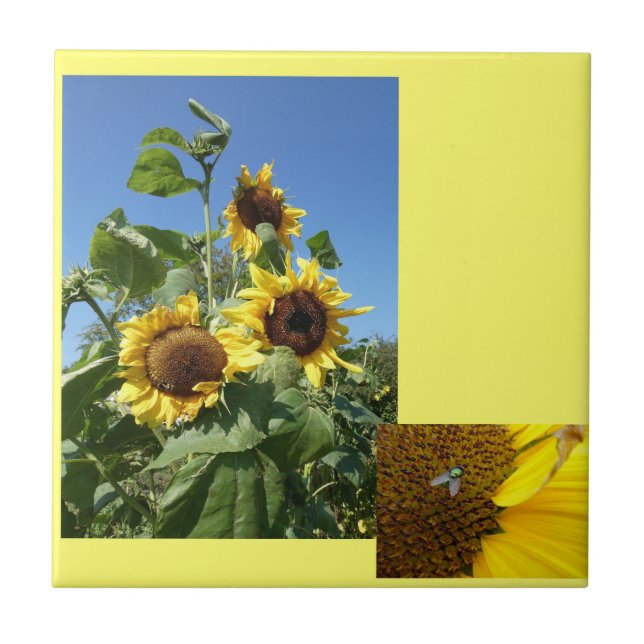 Azulejo Sunflowers Ceramic Tile (Frente)