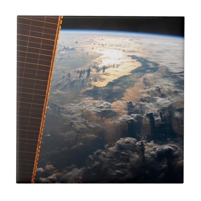 Azulejo Sunglint Viene Del Mar De Celebes En El Sudeste As (Frente)