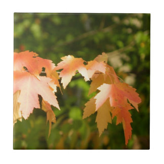 Azulejo Sunny Autumn Leaves Tile Decorativo