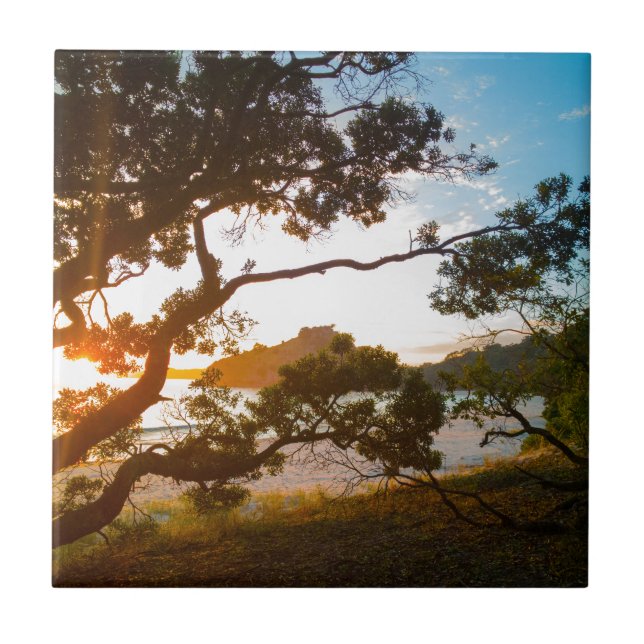 Azulejo Sunrise Coromandel Beach paradisiaco Nueva Zelanda (Frente)