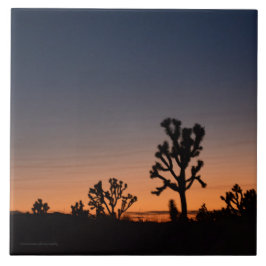 Azulejo Sunset Joshua Trees