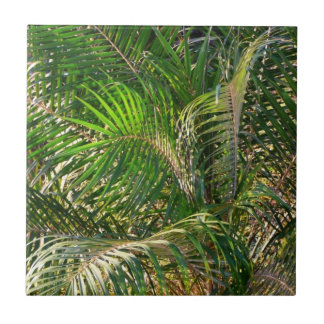 Azulejo Sunset Lit Palm Fronds Tropical