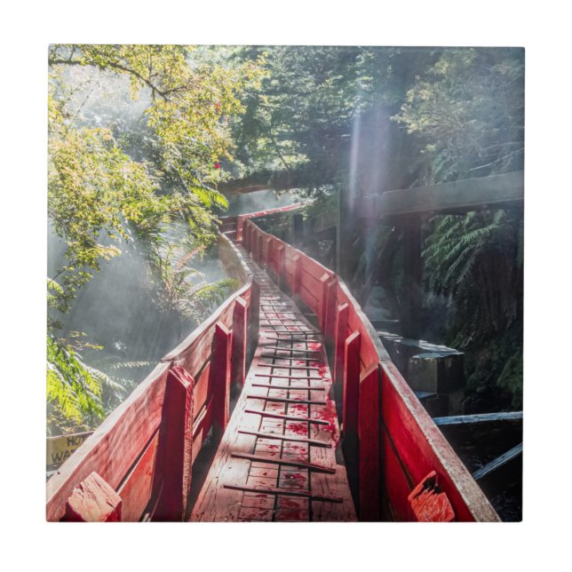 Azulejo Sunshine en Termas Geometría, Conaripe, Chile (Frente)