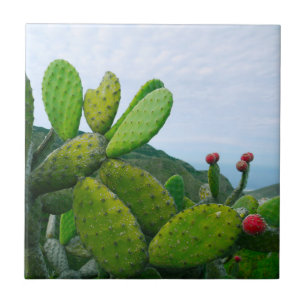 Azulejo Suroeste Cactus Higo Chumbo Suculento Desierto