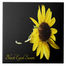 Susana de ojos negros con bonito sobre negro