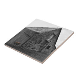 Azulejo Susurros del pasado mosaico de cerámica plástica