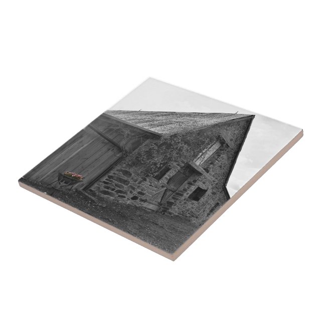 Azulejo Susurros del pasado mosaico de cerámica plástica (Lado)