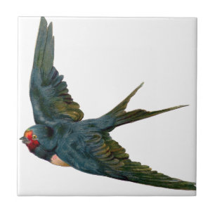 Azulejo Swallow