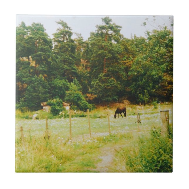 Azulejo Swedish Countryside (Frente)