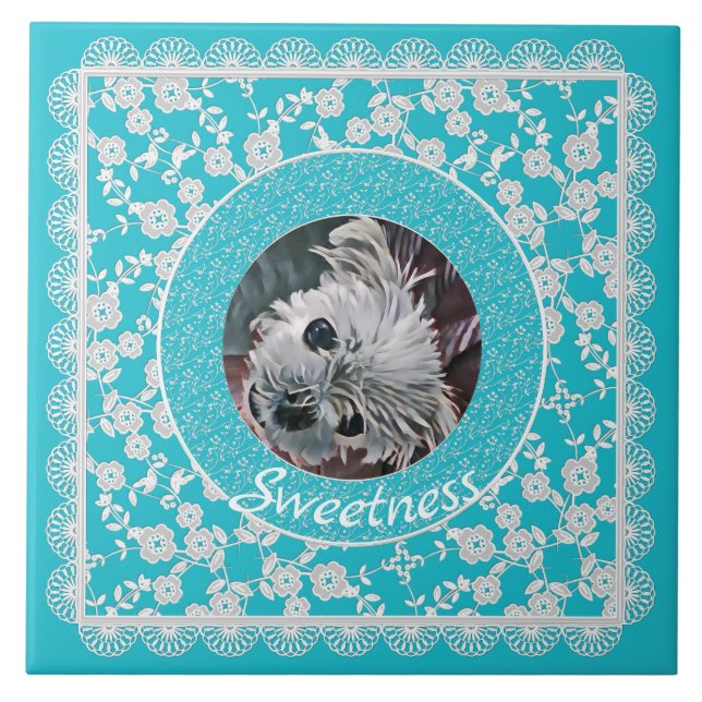 Azulejo Sweetness-Aqua-Puppy-Square-PERSONALIZADO-FOTO-PLA (Frente)