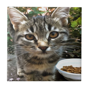 Azulejo Tabby Cat Kitten Haciendo Contacto Ocular