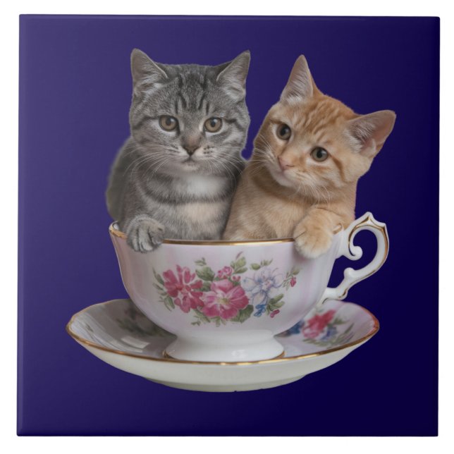 Azulejo Tabby Kitten Teacup Tile Decorativo (Frente)