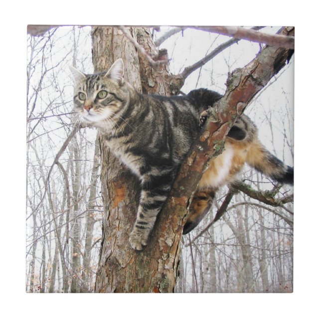 Azulejo Tabbycat Tile (Frente)