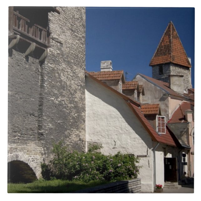 Azulejo Tallin, Estonia. Tallin es algo así como una (Frente)
